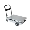 TZ 303 Carrello a Pantografo