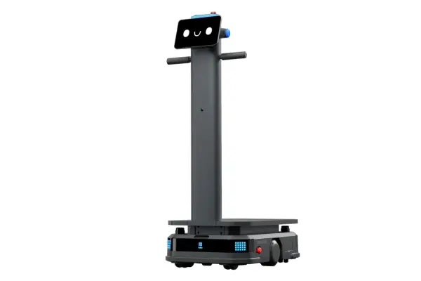 [P-T300S] Pudu T300